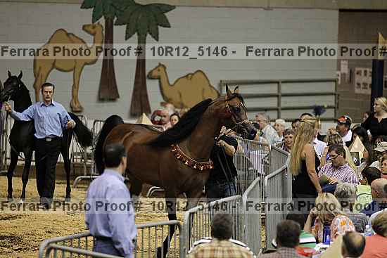 Proof 10r12_5146