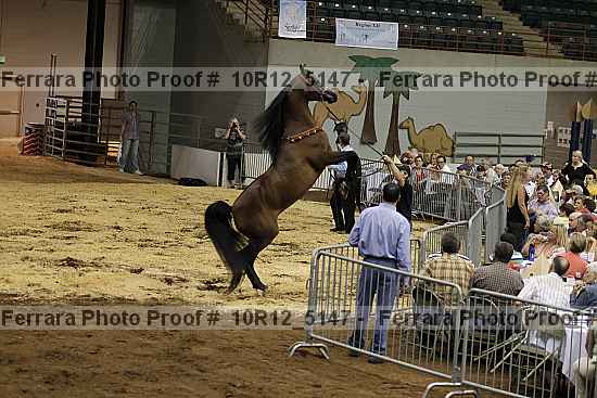 Proof 10r12_5147