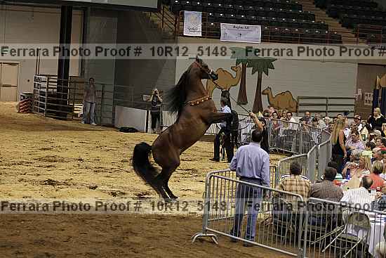 Proof 10r12_5148