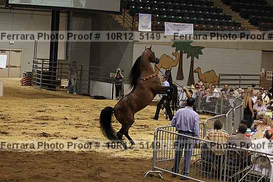 Proof 10r12_5149