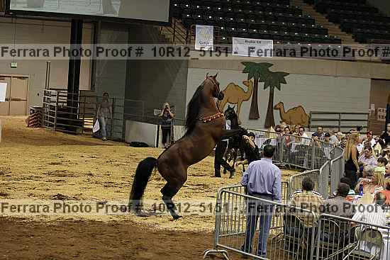 Proof 10r12_5151