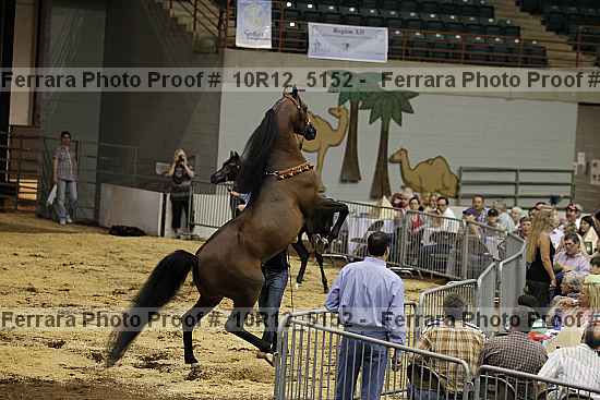 Proof 10r12_5152