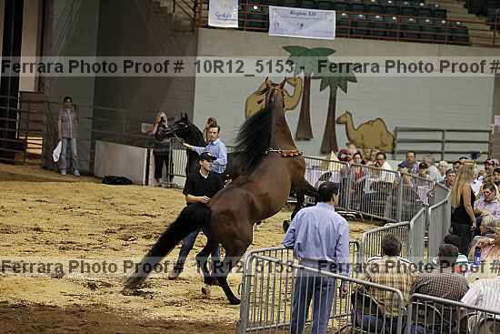 Proof 10r12_5153