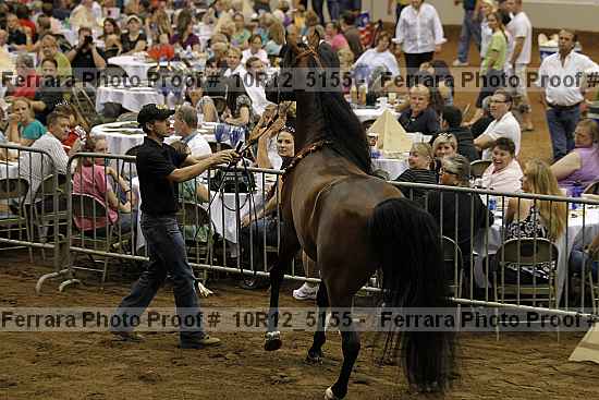 Proof 10r12_5155