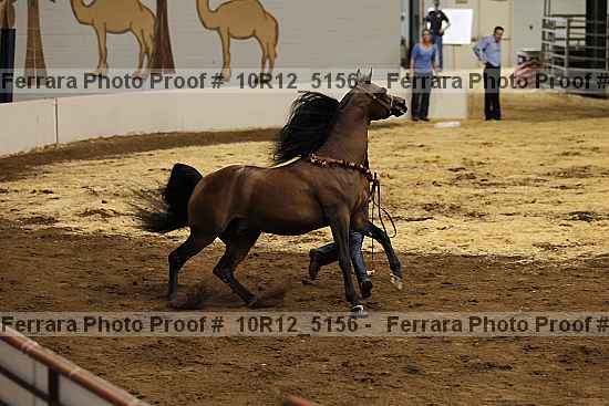 Proof 10r12_5156