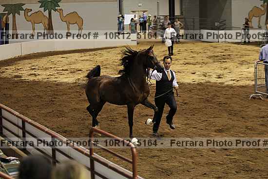 Proof 10r12_5164