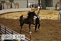 10r12_5164 proof