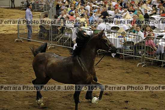 Proof 10r12_5165