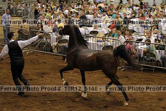 Proof 10r12_5166