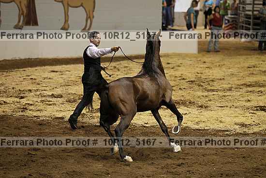 Proof 10r12_5167