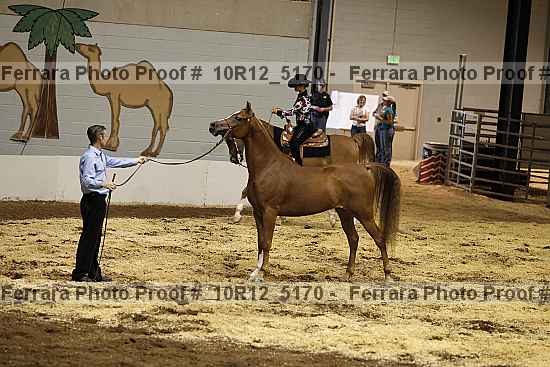 Proof 10r12_5170