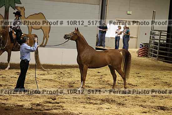 Proof 10r12_5171