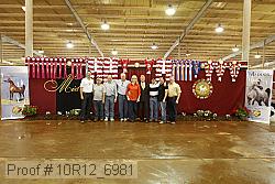 10r12_6981 proof