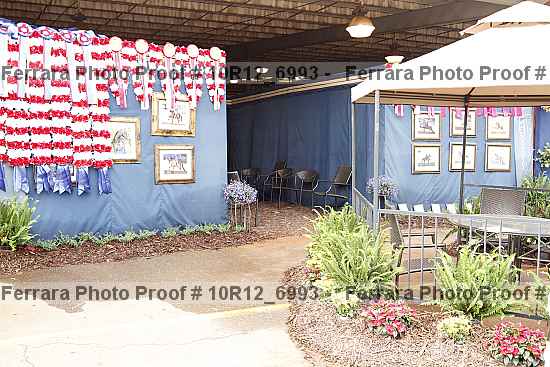 Proof 10r12_6993