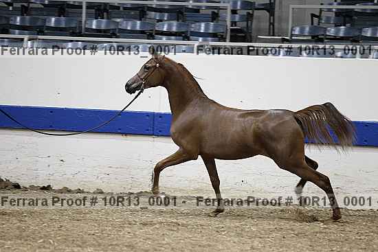 Proof 10r13_0001