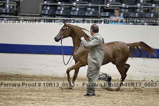 Proof 10r13_0003