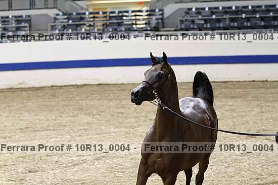 Proof 10r13_0004