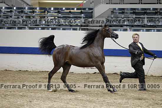 Proof 10r13_0005