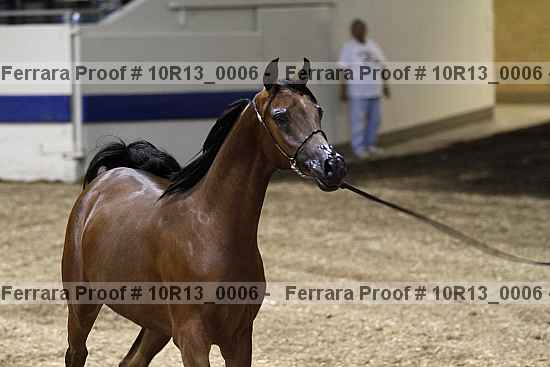 Proof 10r13_0006