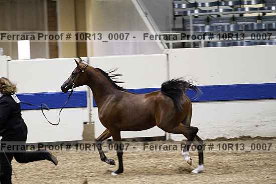 Proof 10r13_0007