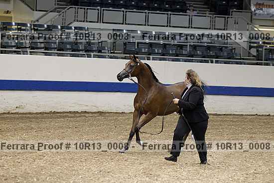 Proof 10r13_0008