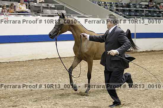Proof 10r13_0010