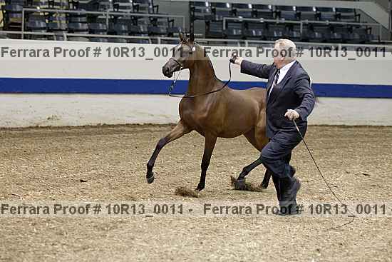 Proof 10r13_0011