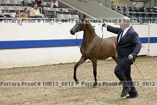 Proof 10r13_0012