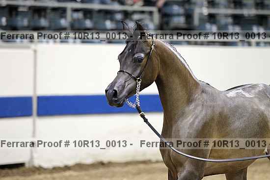 Proof 10r13_0013