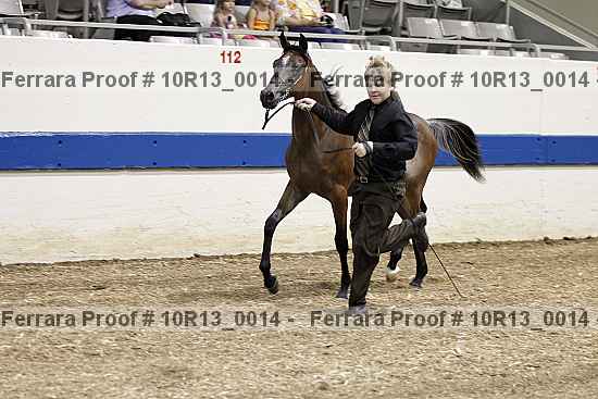 Proof 10r13_0014