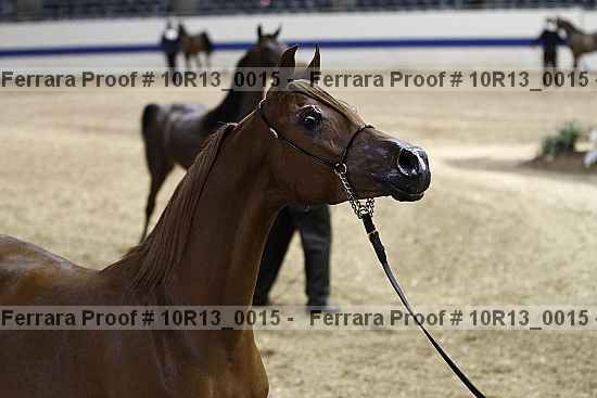 Proof 10r13_0015