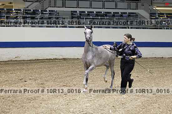 Proof 10r13_0016
