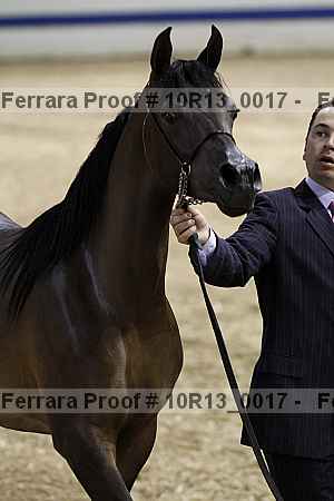 Proof 10r13_0017