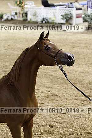 Proof 10r13_0019
