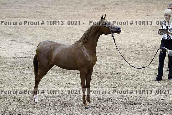 Proof 10r13_0021