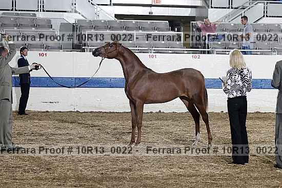 Proof 10r13_0022