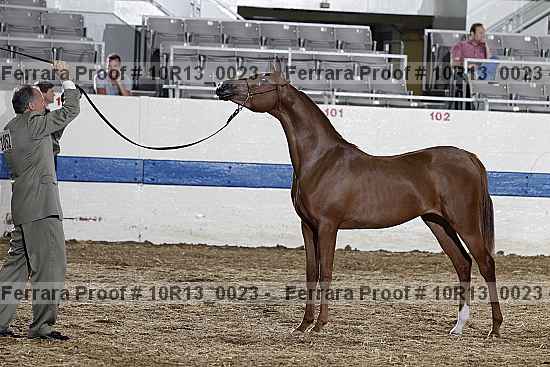 Proof 10r13_0023