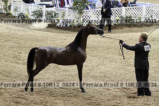 Proof 10r13_0024