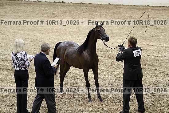 Proof 10r13_0026