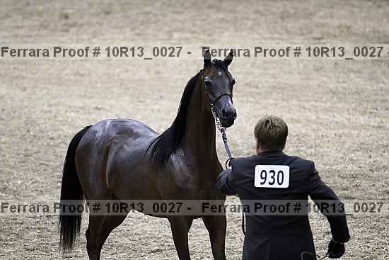 Proof 10r13_0027