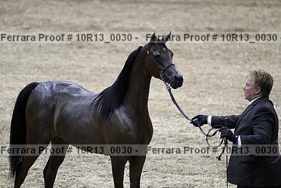 Proof 10r13_0030