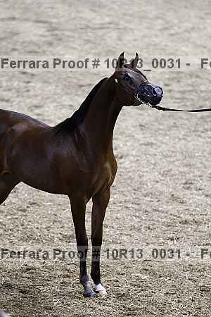 Proof 10r13_0031