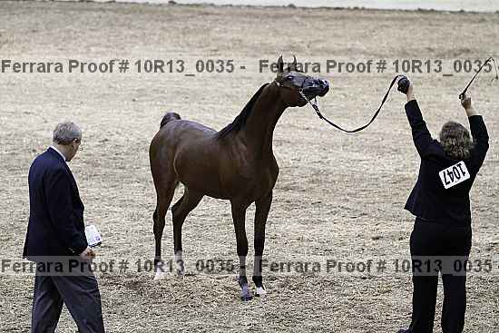 Proof 10r13_0035