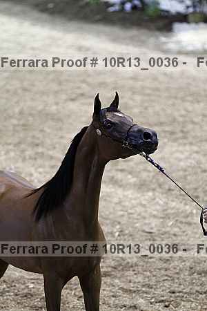 Proof 10r13_0036