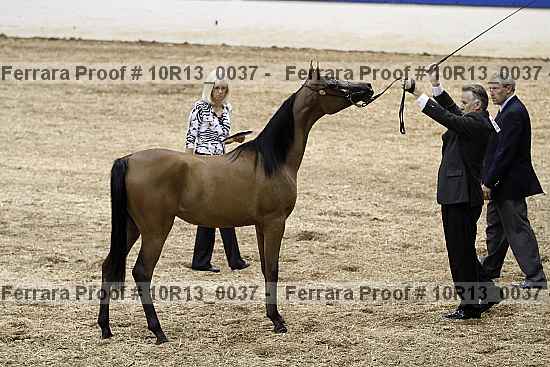 Proof 10r13_0037