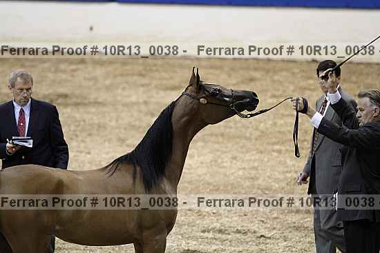 Proof 10r13_0038