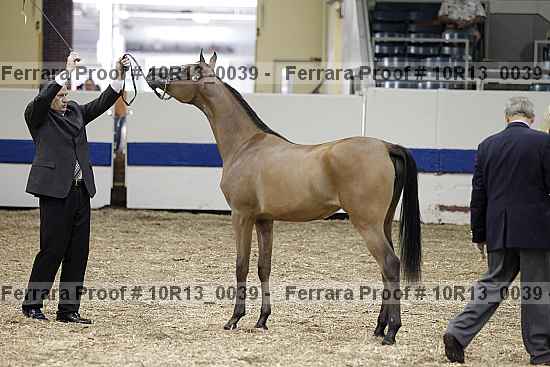 Proof 10r13_0039