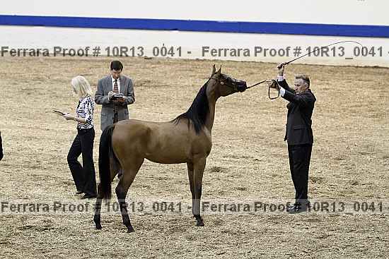 Proof 10r13_0041