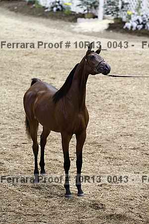 Proof 10r13_0043