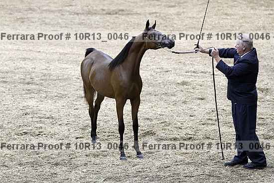Proof 10r13_0046